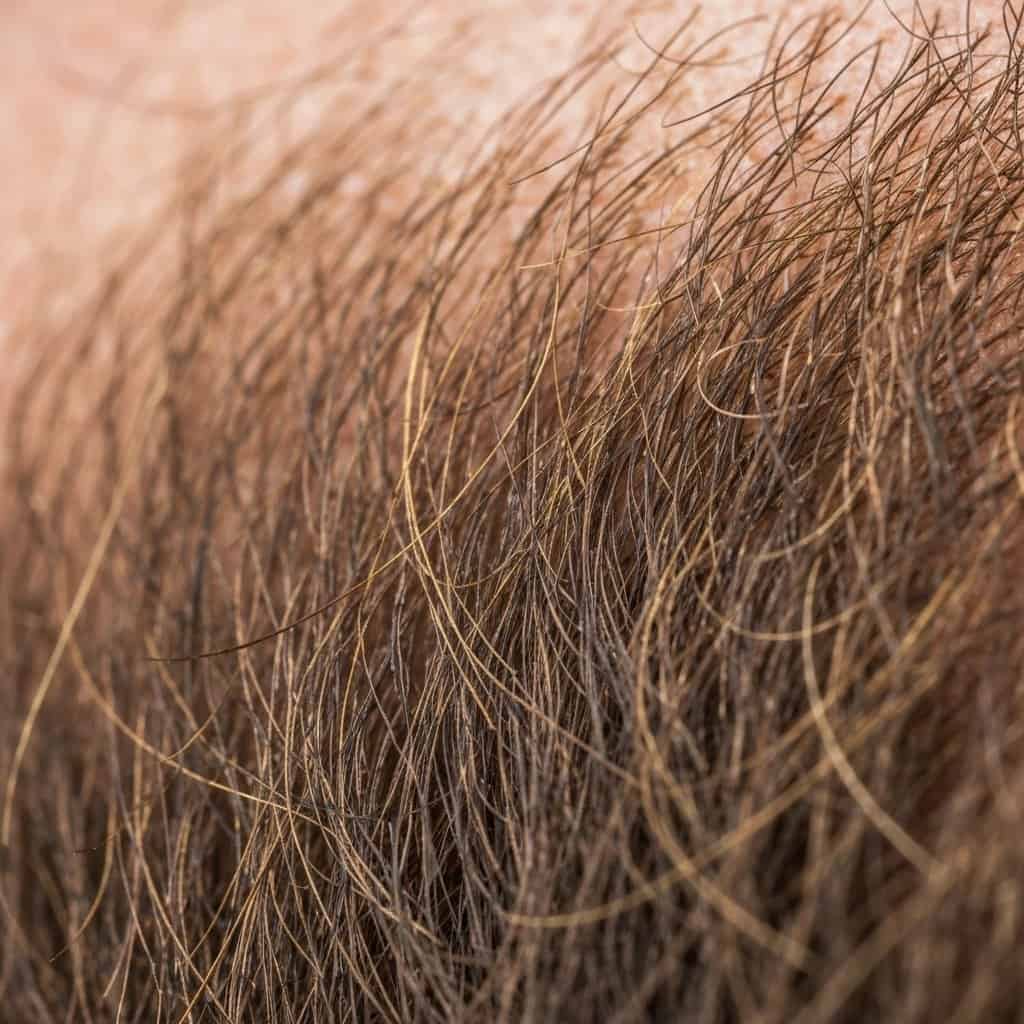 Golenie, broda, wąsy – jak dopasować zarost do stylu